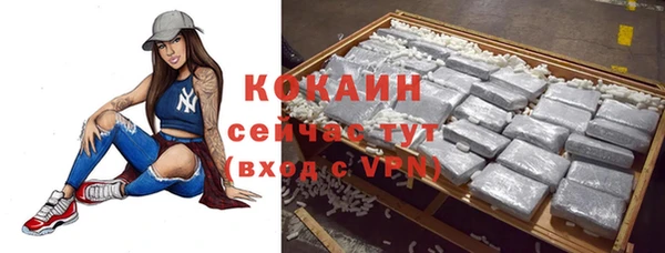 прущие грибы Аркадак