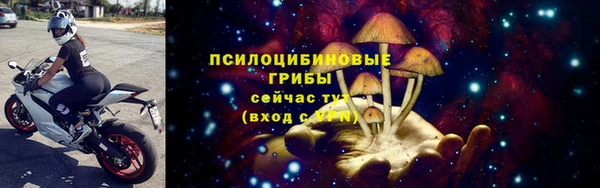 прущие грибы Аркадак