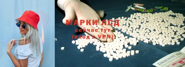 прущие грибы Аркадак